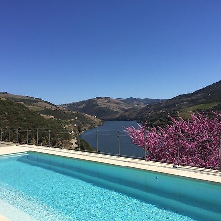 Quinta Da Marka コーヴァス・ド・ドウロ エクステリア 写真